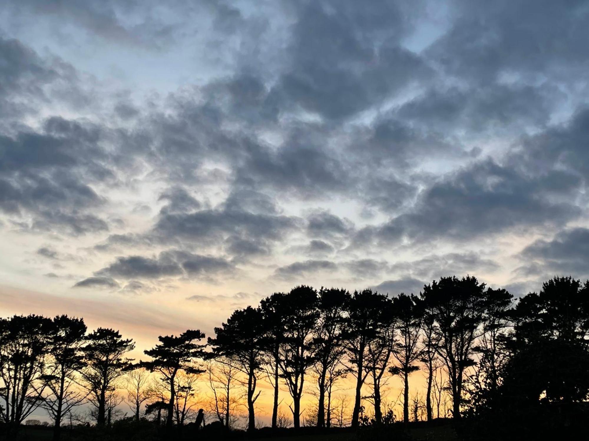 Fowey River Views Exteriör bild